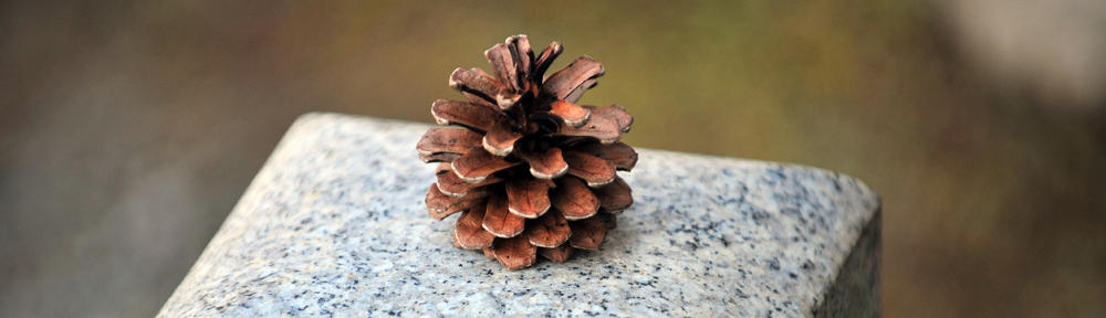 ecobusiness